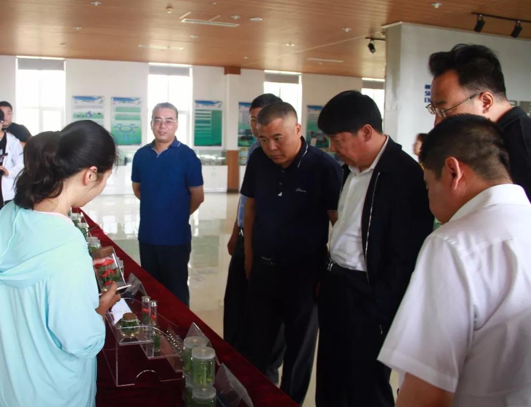 内蒙古兴安盟科尔沁右翼中旗领导莅临神舟绿鹏考察03.jpg